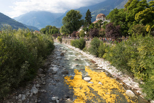 RC Alto Adige: 10.000 PARTECIPANTI IN GIALLO ALLA 6a GARA DELLE PAPERE